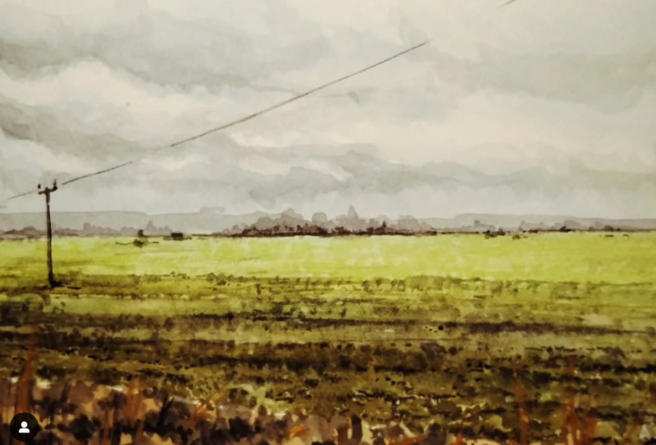 campo-verde-ucraina
